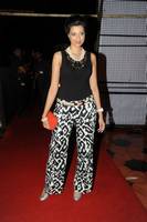 Hamsa Nandhini at Attarintiki Daaredi Audio